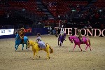 Quadrille - 00535